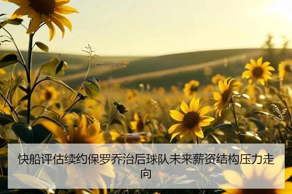快船评估续约保罗乔治后球队未来薪资结构压力走向
