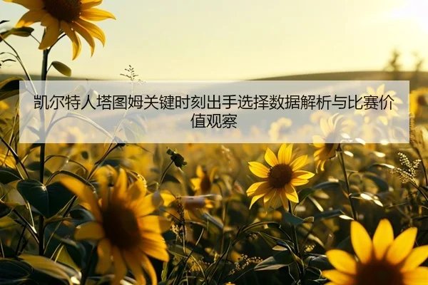 凯尔特人塔图姆关键时刻出手选择数据解析与比赛价值观察