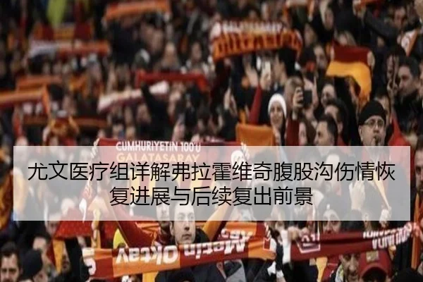 尤文医疗组详解弗拉霍维奇腹股沟伤情恢复进展与后续复出前景